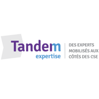 logo-client-tandem-expertisel-deessi Logo Tandem Expertise Déessi